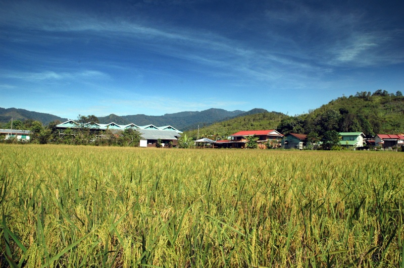 File:Typical Bario View.JPG