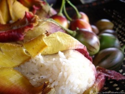 Nuba' Ubek Sinum Lem Sepi'ung Photo by estabala